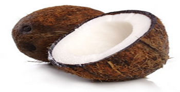 Coconut (Cocos nucifera L.)